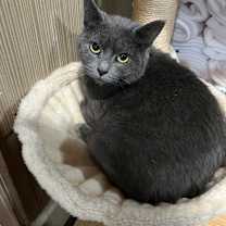 Thumbnail photo of Jasmine #1