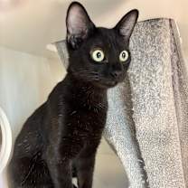 Thumbnail photo of Bette #1