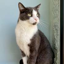 Thumbnail photo of Bud #4