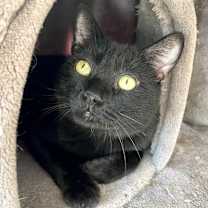 Thumbnail photo of Jamanji #3