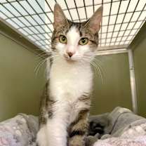 Thumbnail photo of Fizzie #4