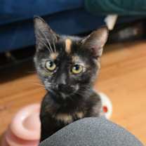 Thumbnail photo of Witte #1