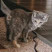 Thumbnail photo of Gia #2