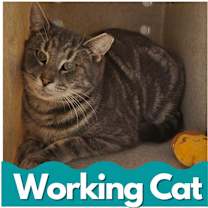 Thumbnail photo of Candy Land #1