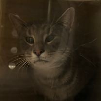 Thumbnail photo of Candy Land #2