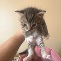 Thumbnail photo of Windy #2