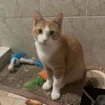 Thumbnail photo of Charlie Ray #3