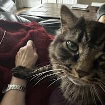 Thumbnail photo of Missy #2