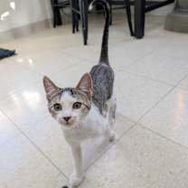 Thumbnail photo of Amy #2