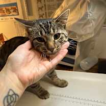 Thumbnail photo of Ed #1