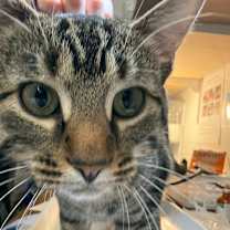 Thumbnail photo of Ed #2