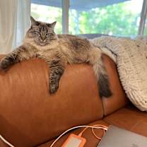 Thumbnail photo of May #2