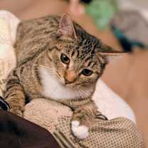 Thumbnail photo of Keanu #1