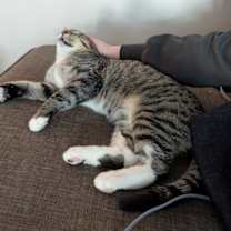 Thumbnail photo of Keanu #2