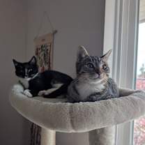 Thumbnail photo of Keanu #4