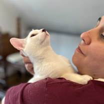 Thumbnail photo of Santino #1