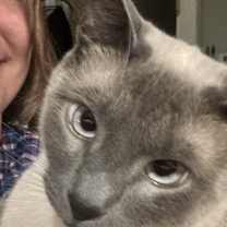 Thumbnail photo of Oliver #1