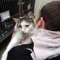 Thumbnail photo of Harlow #2