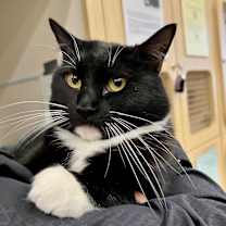 Thumbnail photo of Lottie McCracken #1