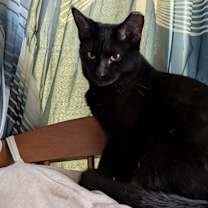 Thumbnail photo of Zarah #1