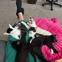 Thumbnail photo of Tucker #3