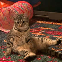 Thumbnail photo of Sally Ride #1