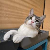 Thumbnail photo of Kristoff #2