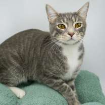 Thumbnail photo of Hudson #2