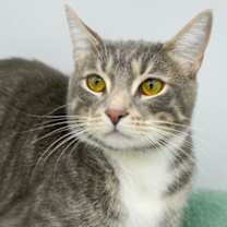 Thumbnail photo of Hudson #3