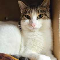 Thumbnail photo of Slurpee #1