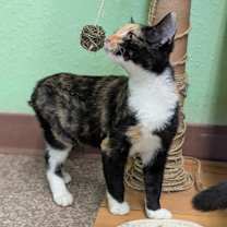 Thumbnail photo of Candace #3