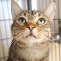 Thumbnail photo of Chad #2