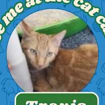 Thumbnail photo of Travis #1