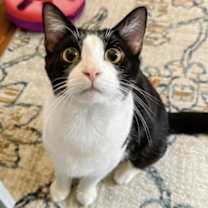 Thumbnail photo of Patrick #3