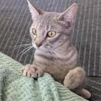 Thumbnail photo of Betty #3