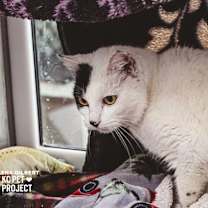 Thumbnail photo of Elena Gilbert #1