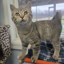 Thumbnail photo of Jennipurr #2