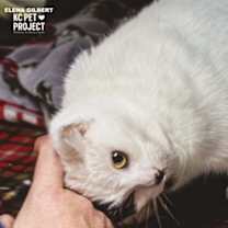 Thumbnail photo of Elena Gilbert #2