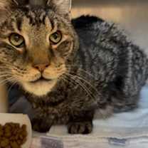 Thumbnail photo of Pepper #3