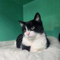 Thumbnail photo of Latte #2