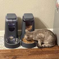 Thumbnail photo of Smokey #4