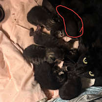 Thumbnail photo of Jenny #2