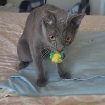 Thumbnail photo of Flower Power 14 #4