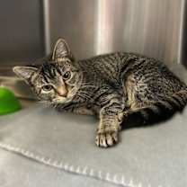 Thumbnail photo of Roberta Doe! #2