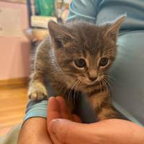 Thumbnail photo of Dale the Intimidator #2