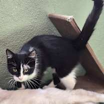 Thumbnail photo of Halle #1