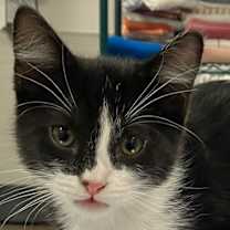 Thumbnail photo of Halle #3