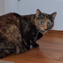 Thumbnail photo of Courtney #2