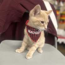 Thumbnail photo of Ron #2