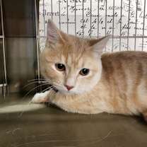 Thumbnail photo of Gabby #2